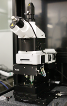 Confocal Raman_2